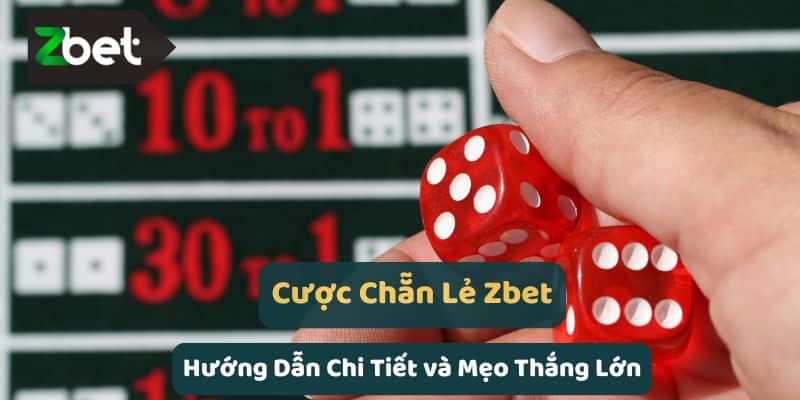 Cược Chẵn Lẻ Zbet: Hướng Dẫn Chi Tiết và Mẹo Thắng Lớn